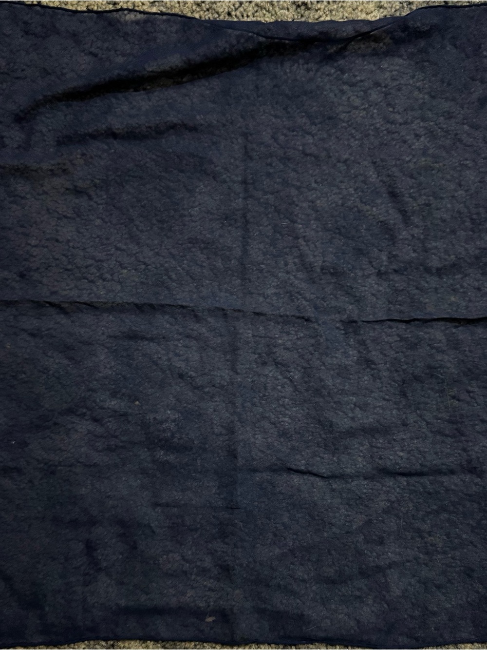 Women's Cozy Navy Wrap Scarf